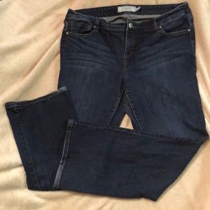 Torrid Blue jeans
